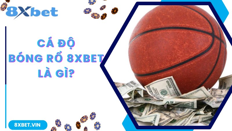 Khám phá về hình thức cược thú vị, kinh nghiệm chơi cá độ bóng rổ